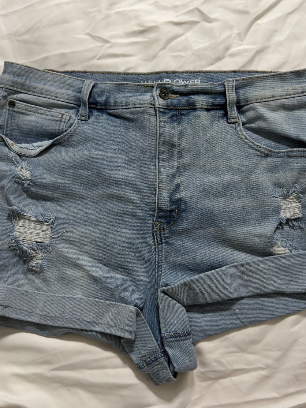 Wallflower Light Blue Distressed Cuffed Jean Shorts